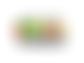 Bolsa Família completa 20 anos de existência