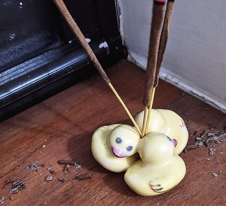 duck.jpg