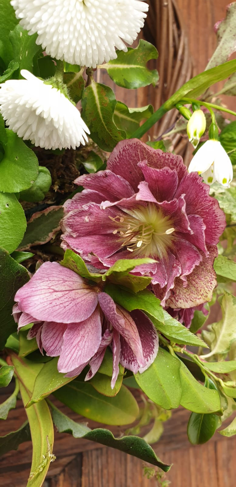 Thumbnail: Mother's Day Hand-Tied Bouquets & Flowers (Grown locally) - 2025