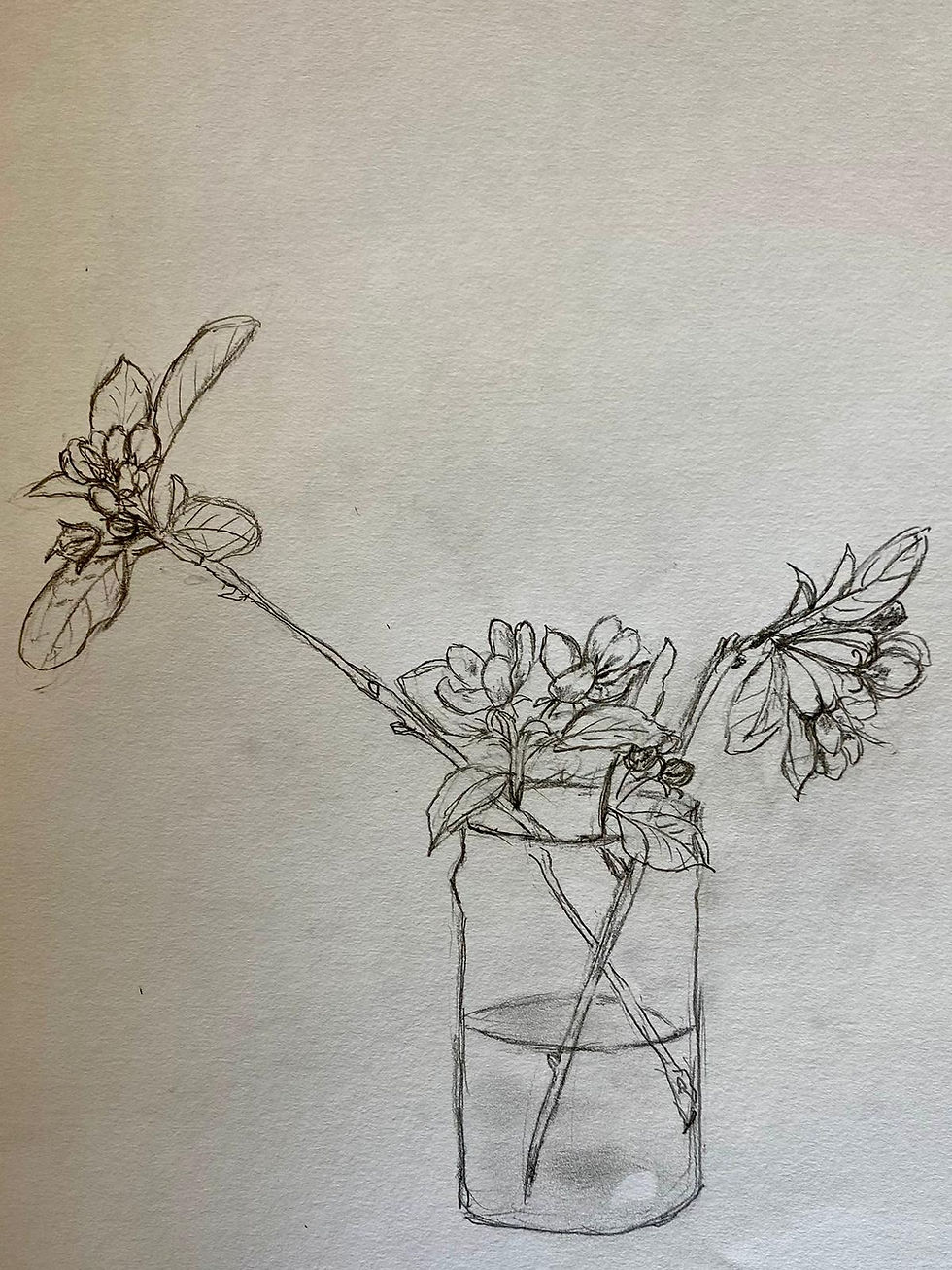 Thumbnail: Drawing in The Walled Garden (Summer '25)