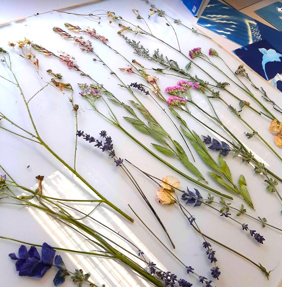 Thumbnail: Gather & Keep - Early Spring Flower Pressing Workshop