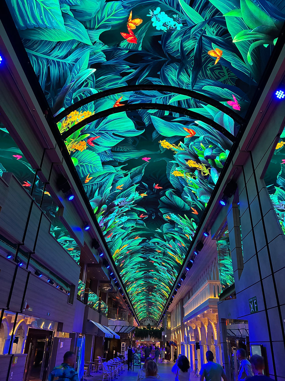 Tips for First-Time Cruisers! 🛳️