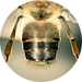 Ellipse 1.png