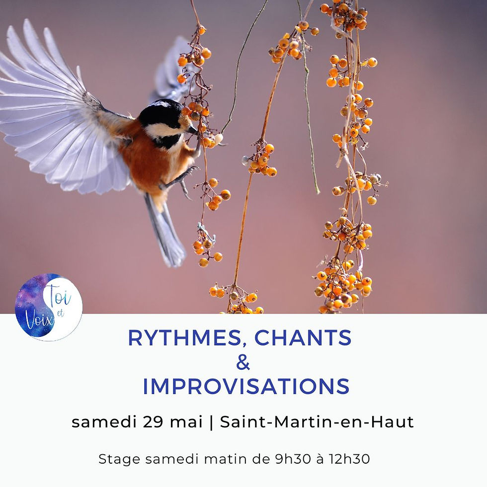 Rythmes, chants et improvisations