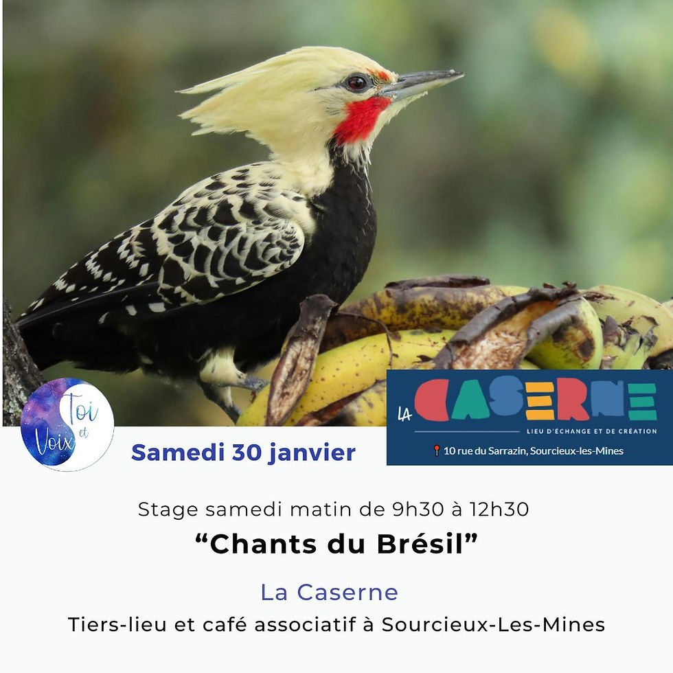 Chants du Brésil