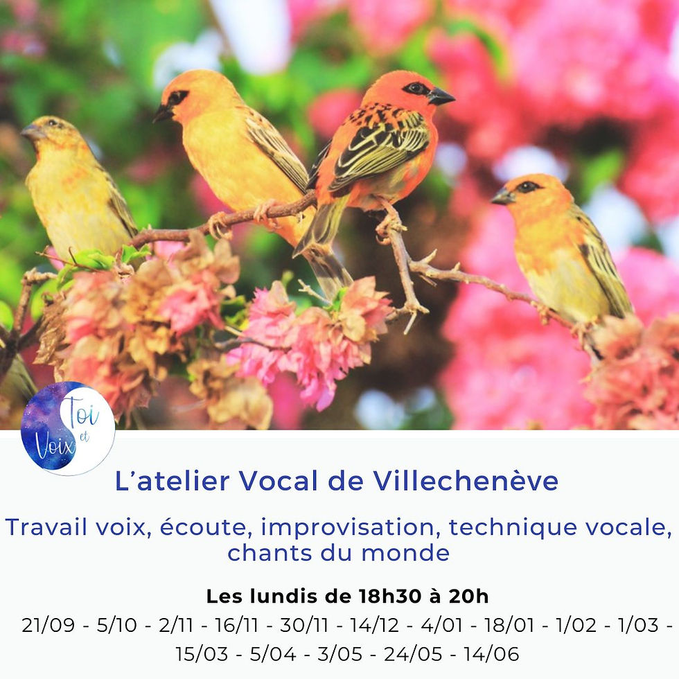 L'Atelier vocal de Villechenève "Explorer sa voix"