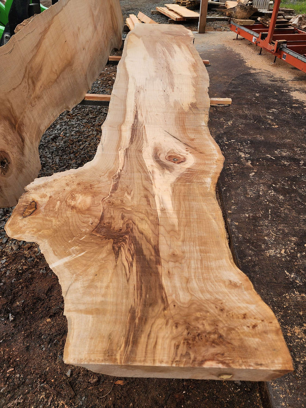 Thumbnail: Live edge big leaf Maple slabs with excellent spalting