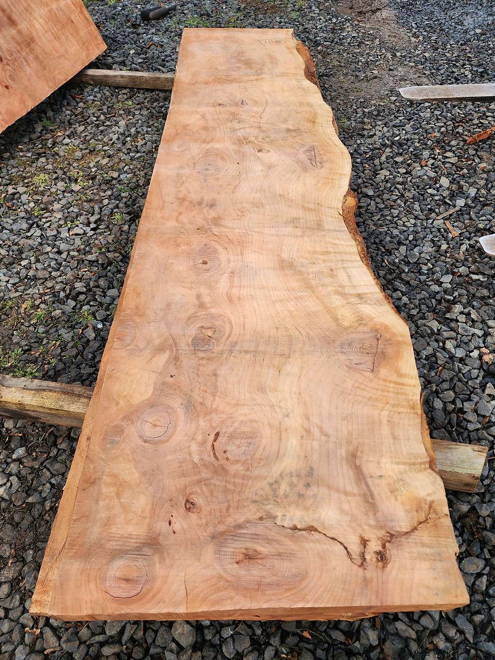 Thumbnail: Stunning bookmatched set or river table! Highly figured Redwood