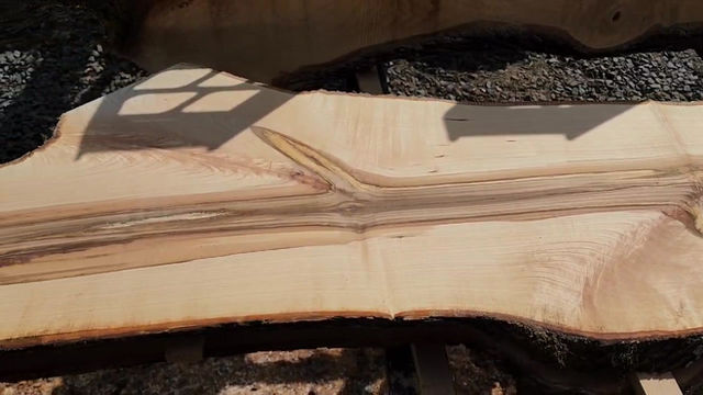 Thumbnail: 8 ft long Big Leaf Maple slabs