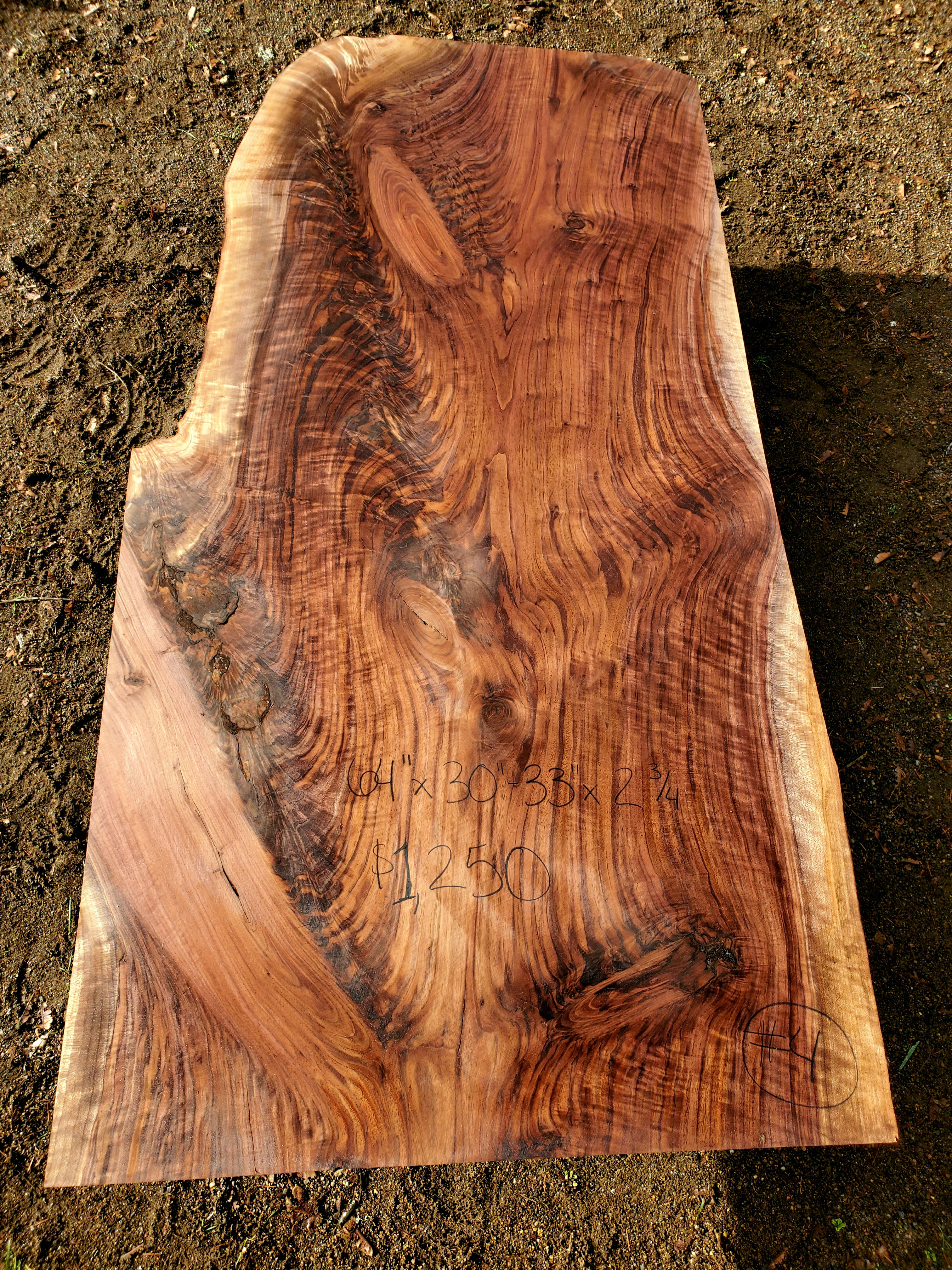 Live edge Black Walnut slab