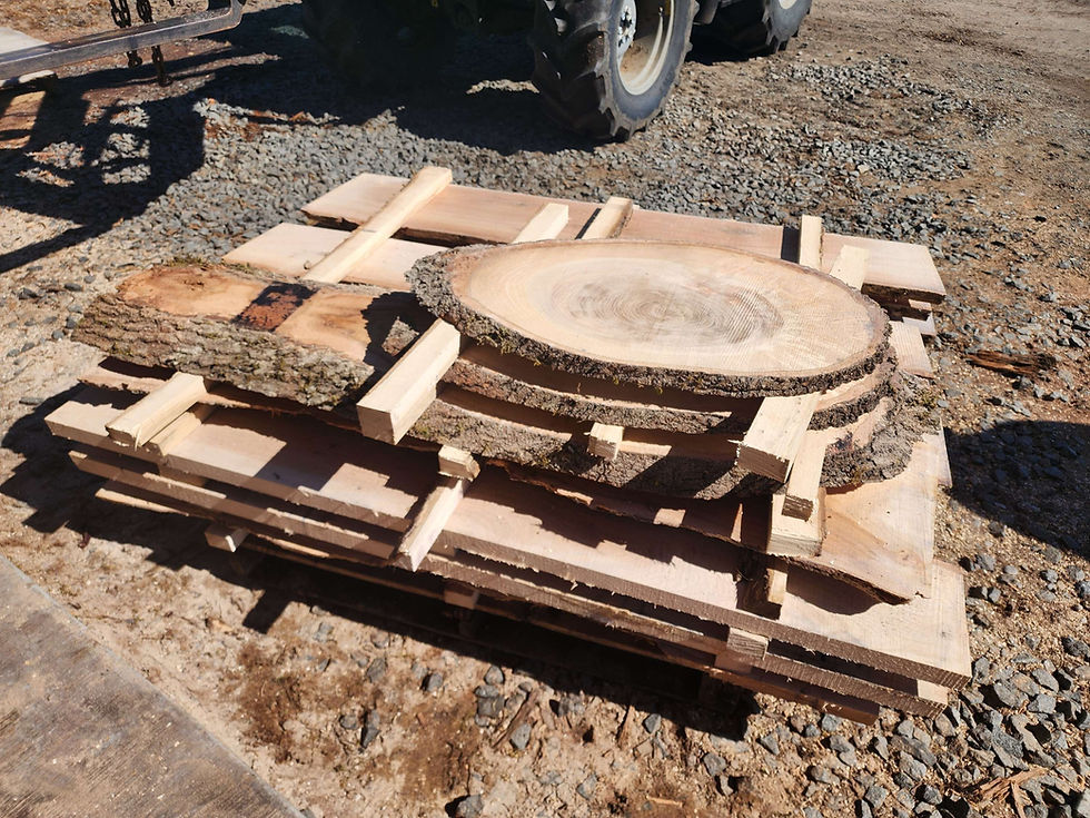 Thumbnail: Good-looking Red Oak Unit or Individuals