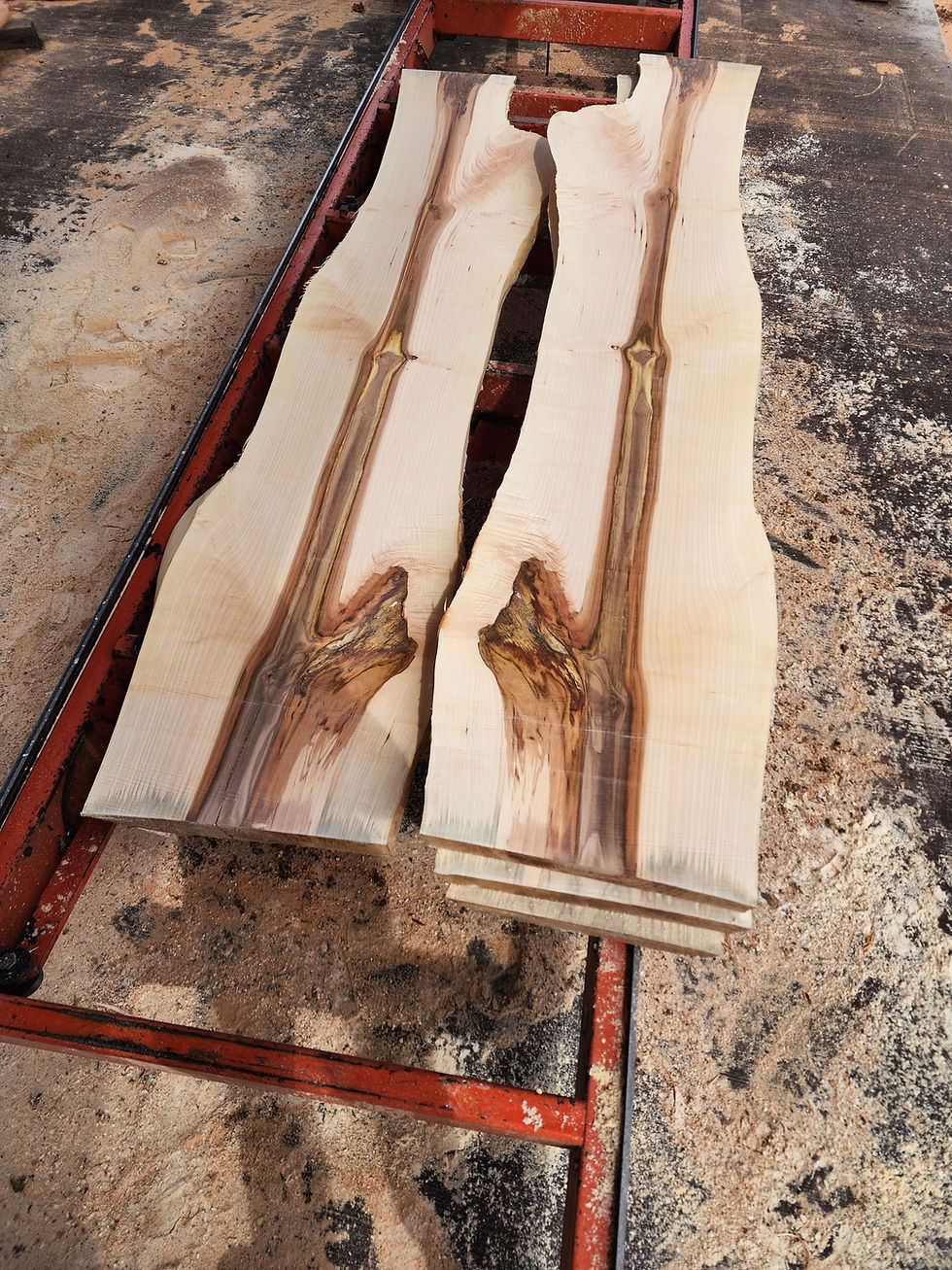 Thumbnail: 8 ft long Big Leaf Maple slabs