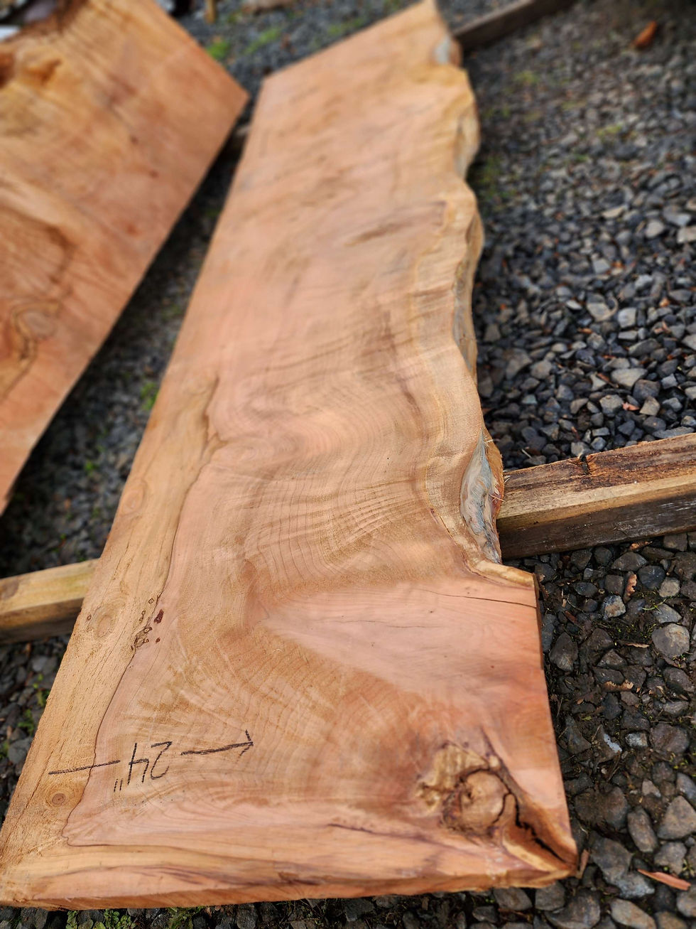 Thumbnail: 3" thick! Amazing curly figured Redwood slab 