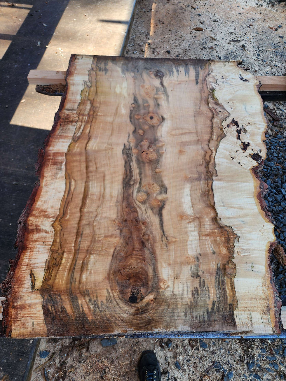 Thumbnail: Incredible color and figure Silver Maple slabs