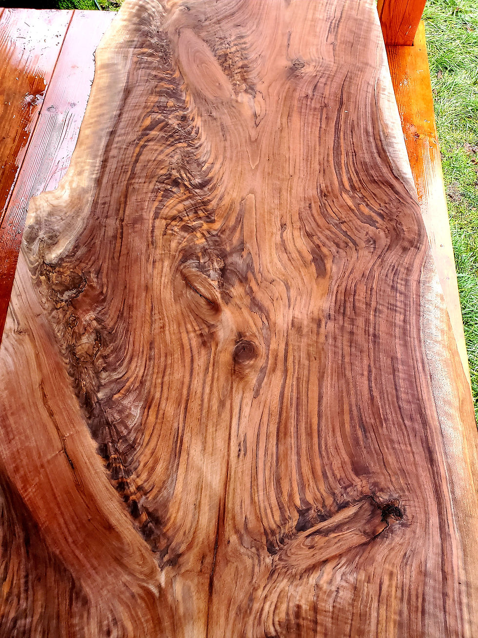 Thumbnail: Live edge Black Walnut slab