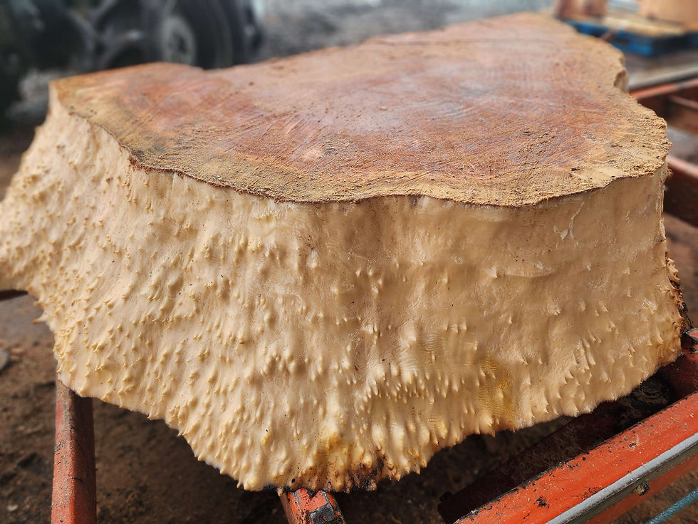 Thumbnail: Rare, highly figured Redwood