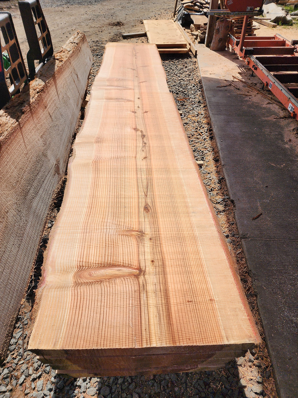 Thumbnail: Stunning 12' Live Edge Redwood Slabs 