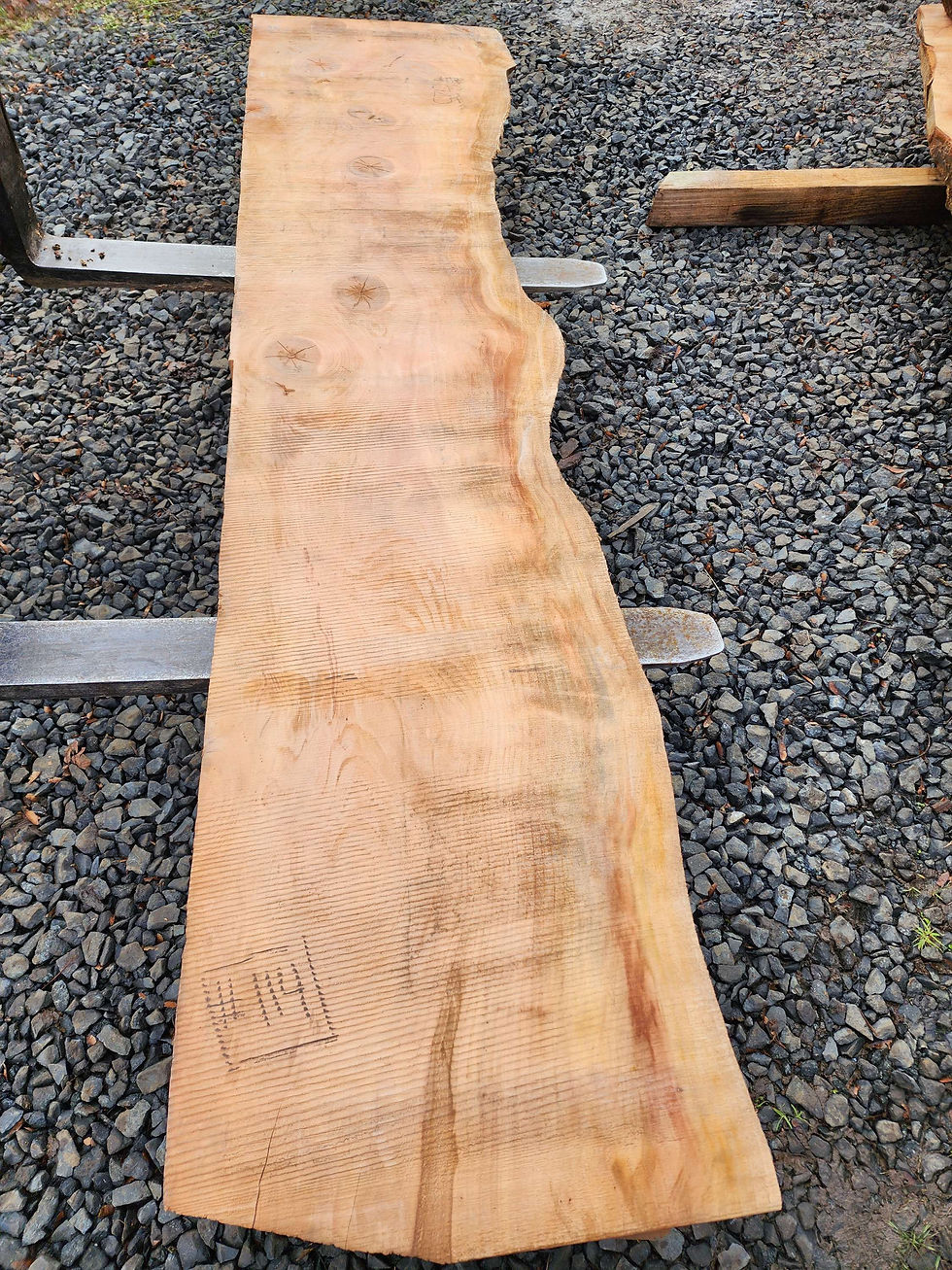 Thumbnail: Gorgeous curly-figured Redwood slab 