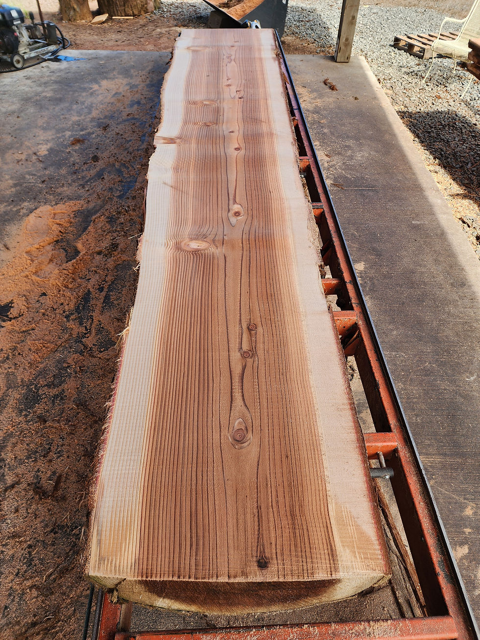 Thumbnail: Stunning 12' Live Edge Redwood Slabs 