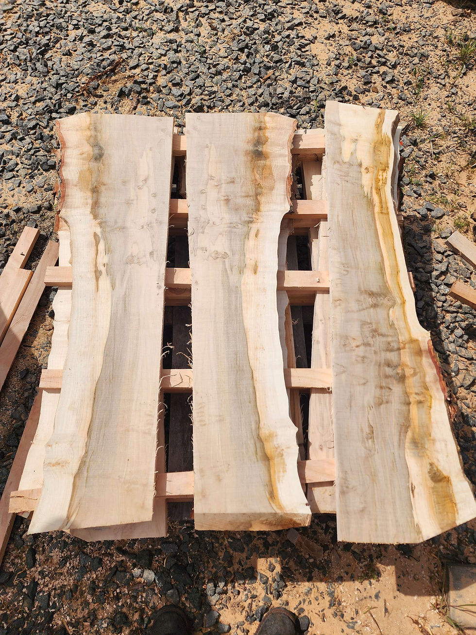 Silver Maple shelves. 4 ft long