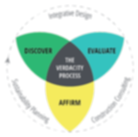 Diagram of the Verdacity Process