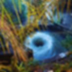 ree