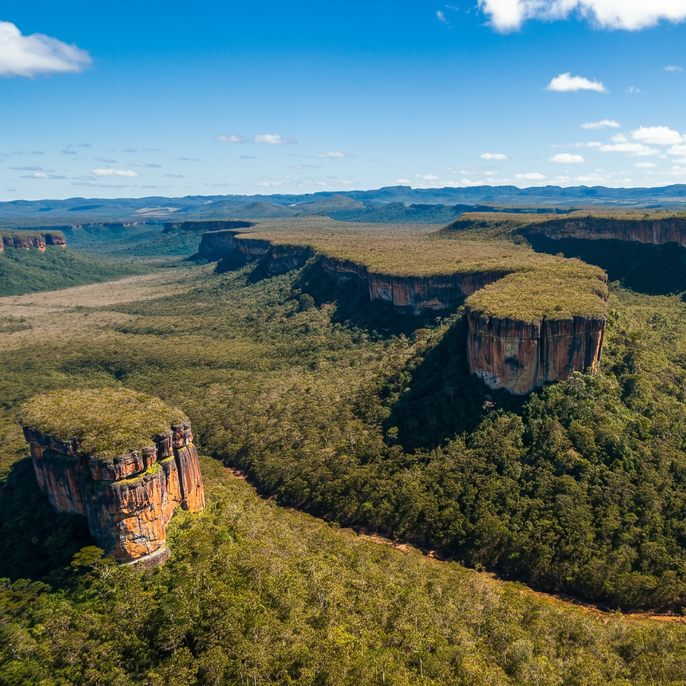 Vista aérea do Parque Nacional da Chapada dos Guimarães, exibindo formações rochosas de topo plano cercadas por densas florestas verdes sob um céu claro, transmitindo uma atmosfera serena que destaca a grandiosidade natural da Chapada dos Guimarães.