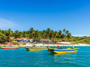 Porto de Galinhas Turismo e Aventura: Guia Completo Além das Piscinas