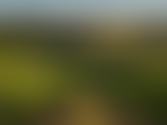 Road trips incríveis : 5 Roteiros de Carro para Curtir a Liberdade na Estrada