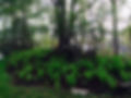 IMG-20170523-WA0023