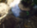 IMG-20170523-WA0022