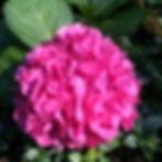 IMG-20170523-WA0027