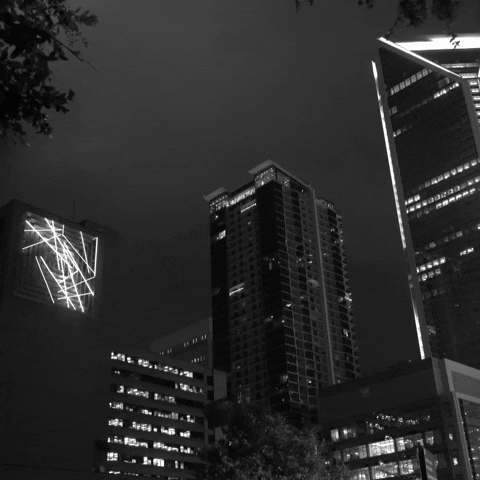 North Carolina GIF-downsized_large.gif