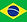 Brazilian language