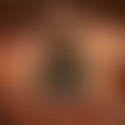 Review : The Hellacopters - Overdriver (2025)