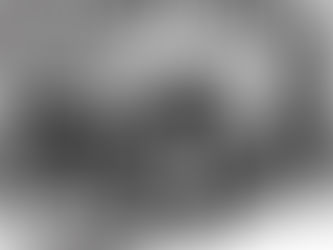 Een heuse samenwerking tussen Dropkick Murphys en Haywire! + (audio) video