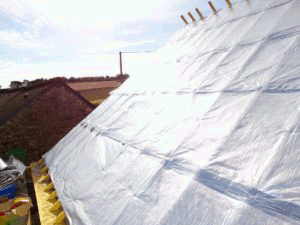 Skytech