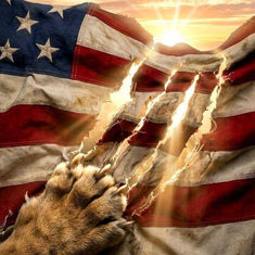 O Irã será o novo Afeganistão para os Estados Unidos