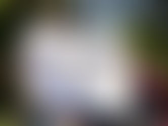 Se aumentam os casos de violência contra a mulher, devemos aumentar a autodefesa!