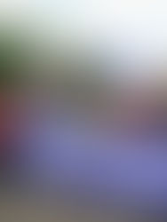 Greves explodem em mais de 50 universidades do país