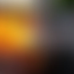 Trump declara guerra contra o povo norte-americano