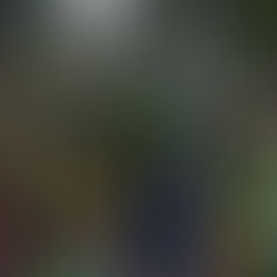 Das ruas aos tribunais, a quinta-coluna atua sem disfarces