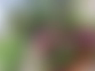 公式HPがオープン致しました