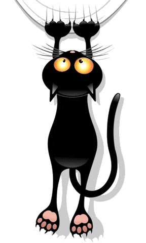 A black cat hanging from the surface