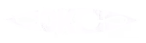 Logo Clear kayak blanc