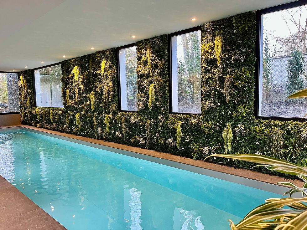 Murs végétales photo avant après. 
Création sur mesure. Intérieur piscine avec mur végétal, fenêtres, eau, et ambiance relaxante.