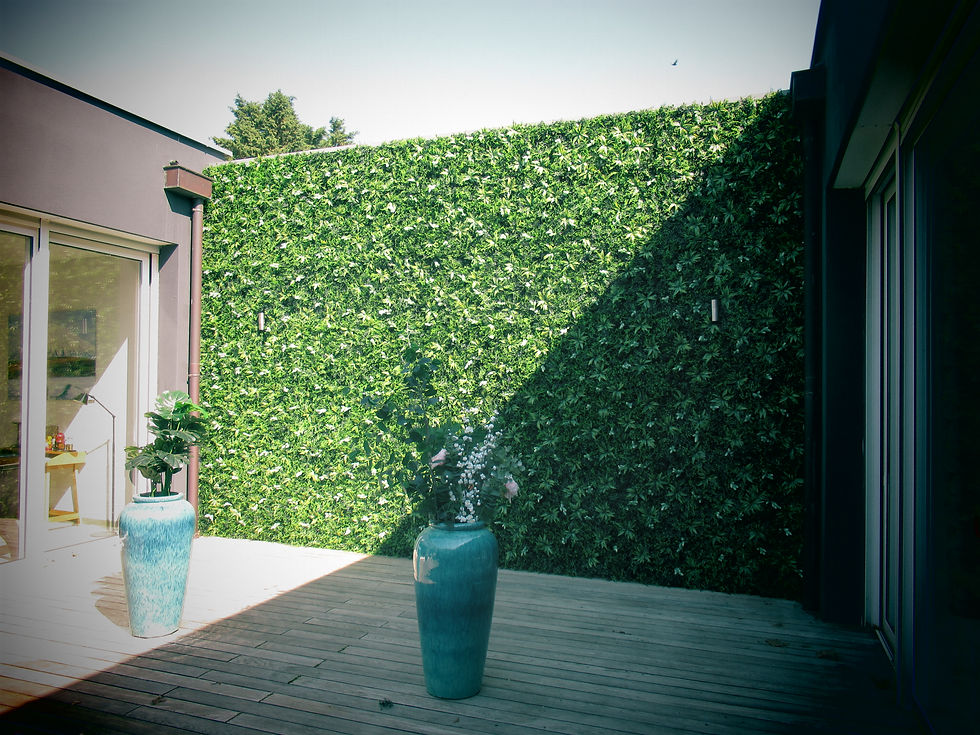 Mur végétal vert avec deux pots bleus sur une terrasse en bois. Murs végétales photo avant après. 
Création sur mesure