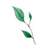006_01.png