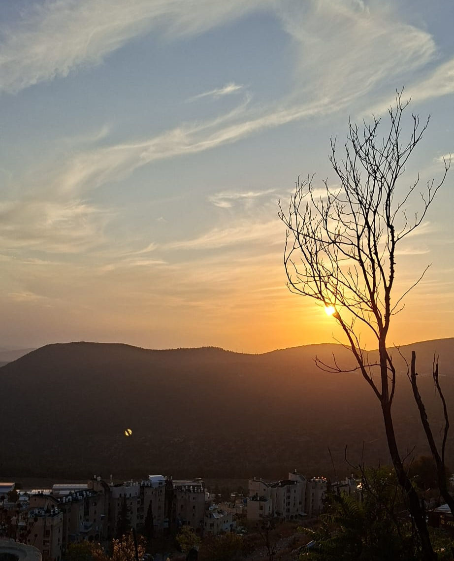 Закат над горами Верхней Галилеи: облака, силуэт сухого дерева и вид на Цфат внизу