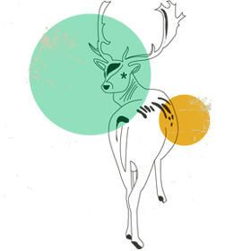 Mrigacharini – She Who Lives Like a Deer